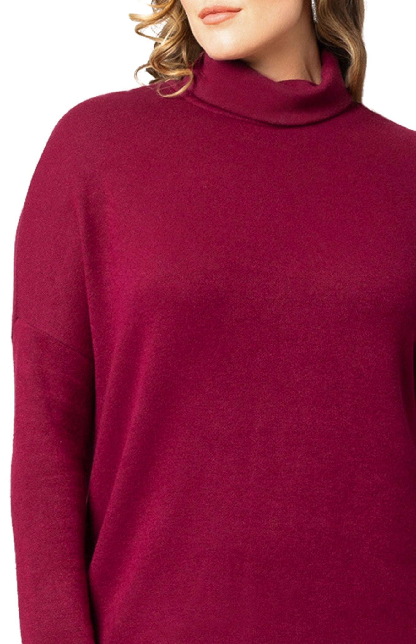 Paris Turtleneck Tunic Sweater - Plus